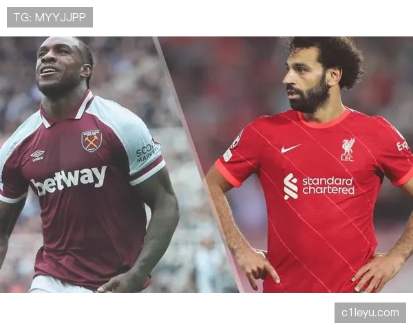 利比亚地中海骑士迎来海洋保护与可持续发展新机遇，状态回暖引关注