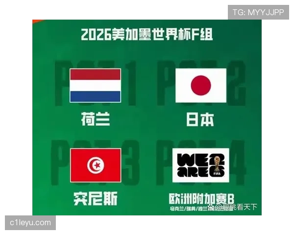 2026世界杯F组出线预测谁能拿到小组第一